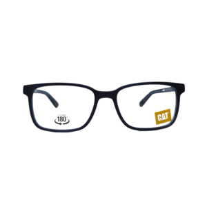 CTO LEDGER COL.106 53-17 140