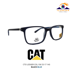 CTO LEDGER COL.106 53-17 140