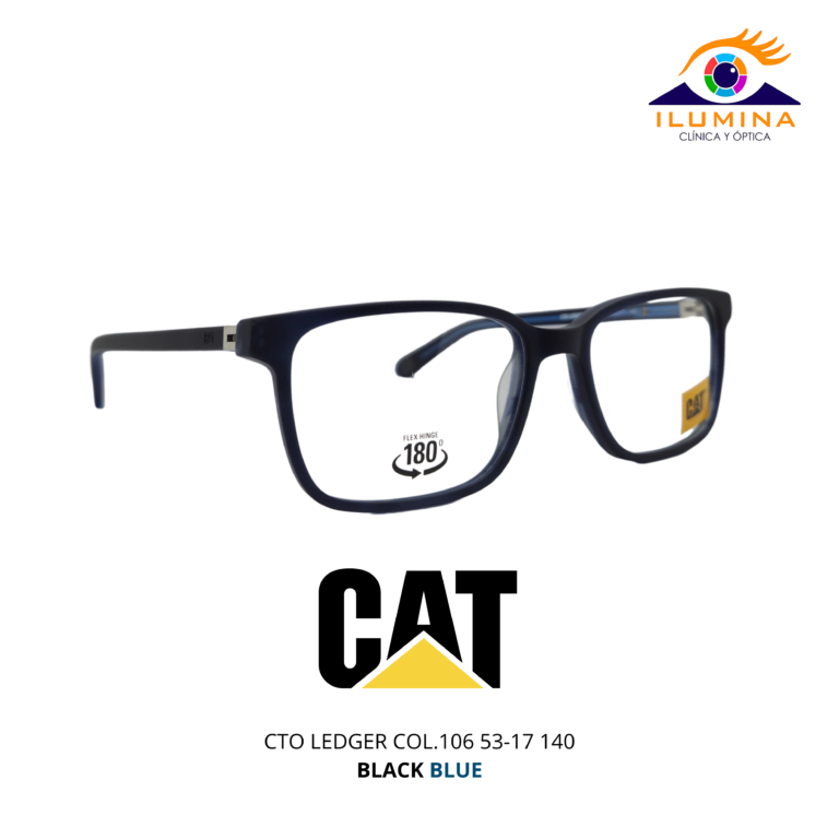 CTO LEDGER COL.106 53-17 140